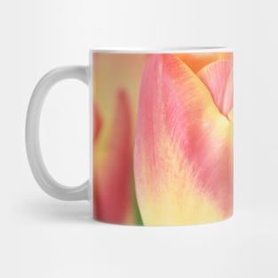 Tulipa 'Candy Corner' Triumph Tulip Mug
